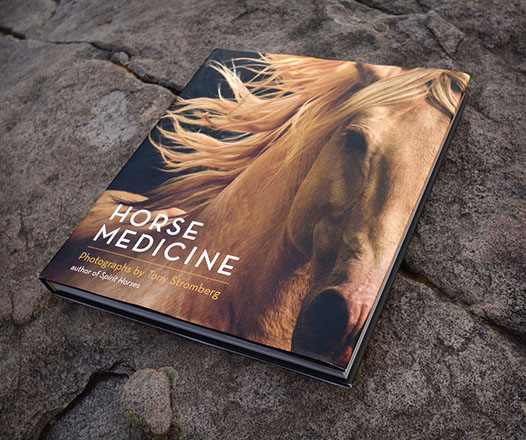 Horse Medicine