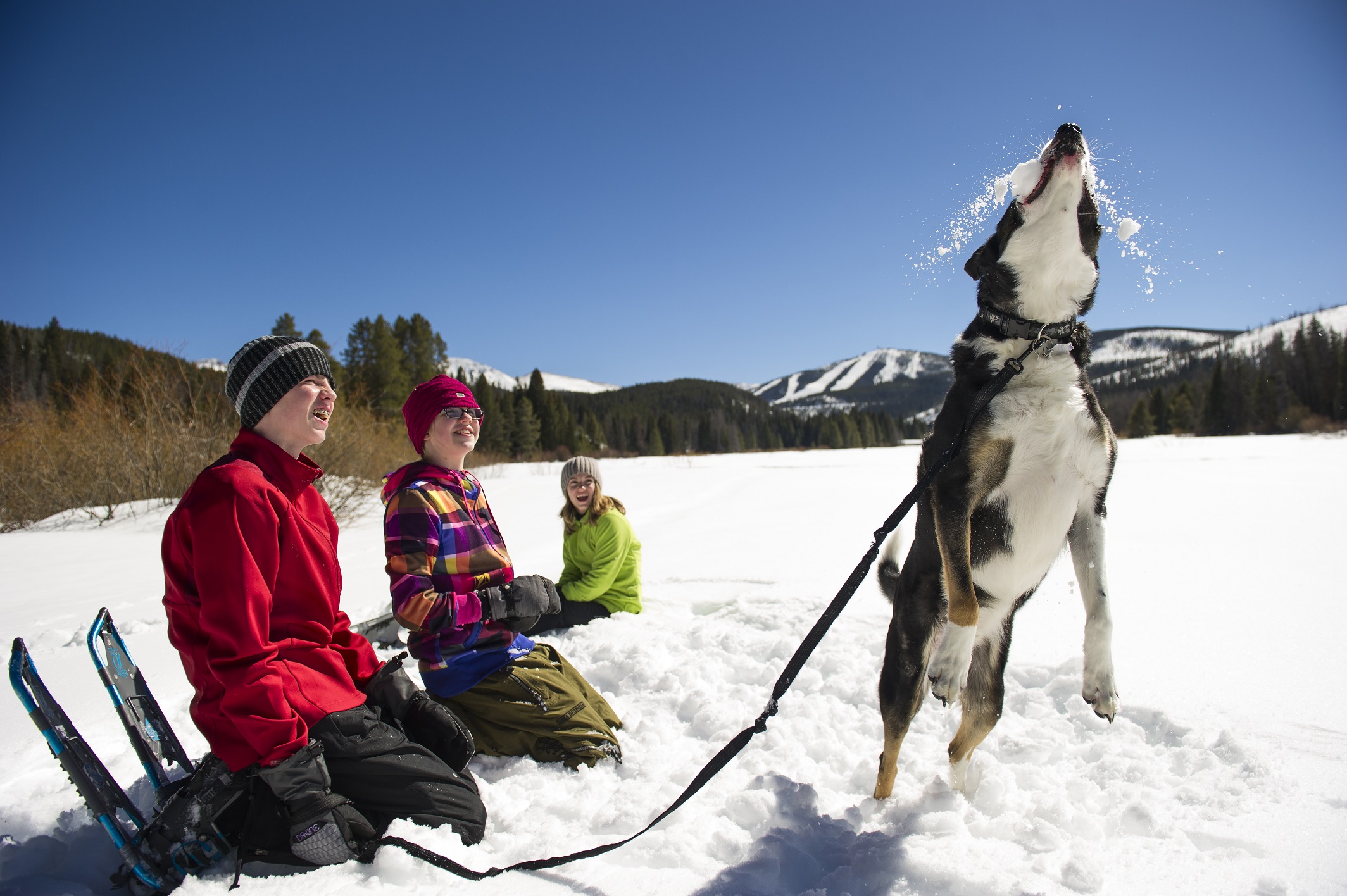 Winter Park & Fraser Valley Chamber Announces 25 Winter Vacation Ideas ...