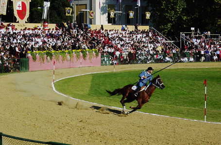 We go to this amazing horse race at the Quintana in Foligno on our tour in Umbria.