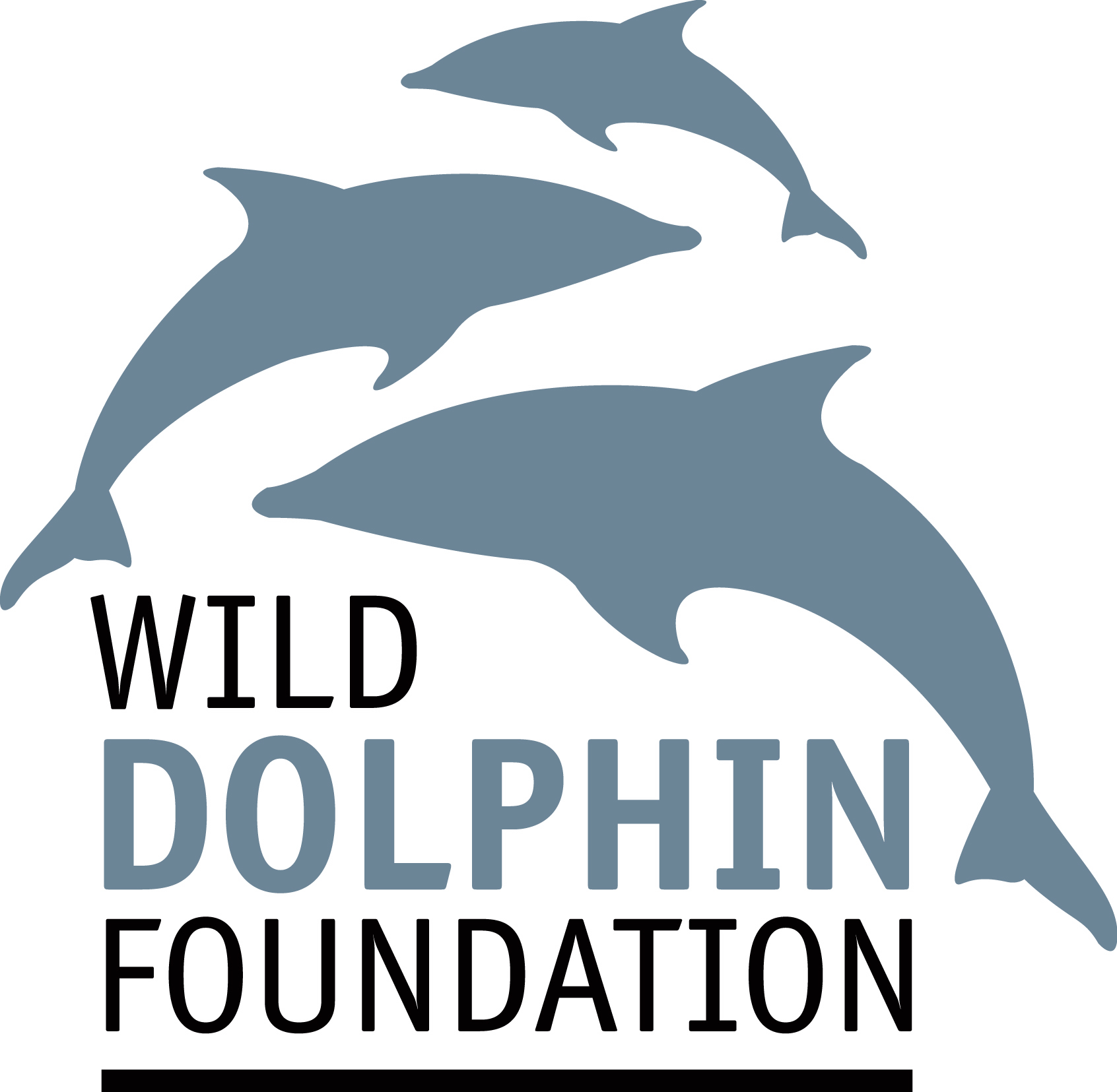 WIld Dolphin Foundation: Education, Conservation, Advocacy