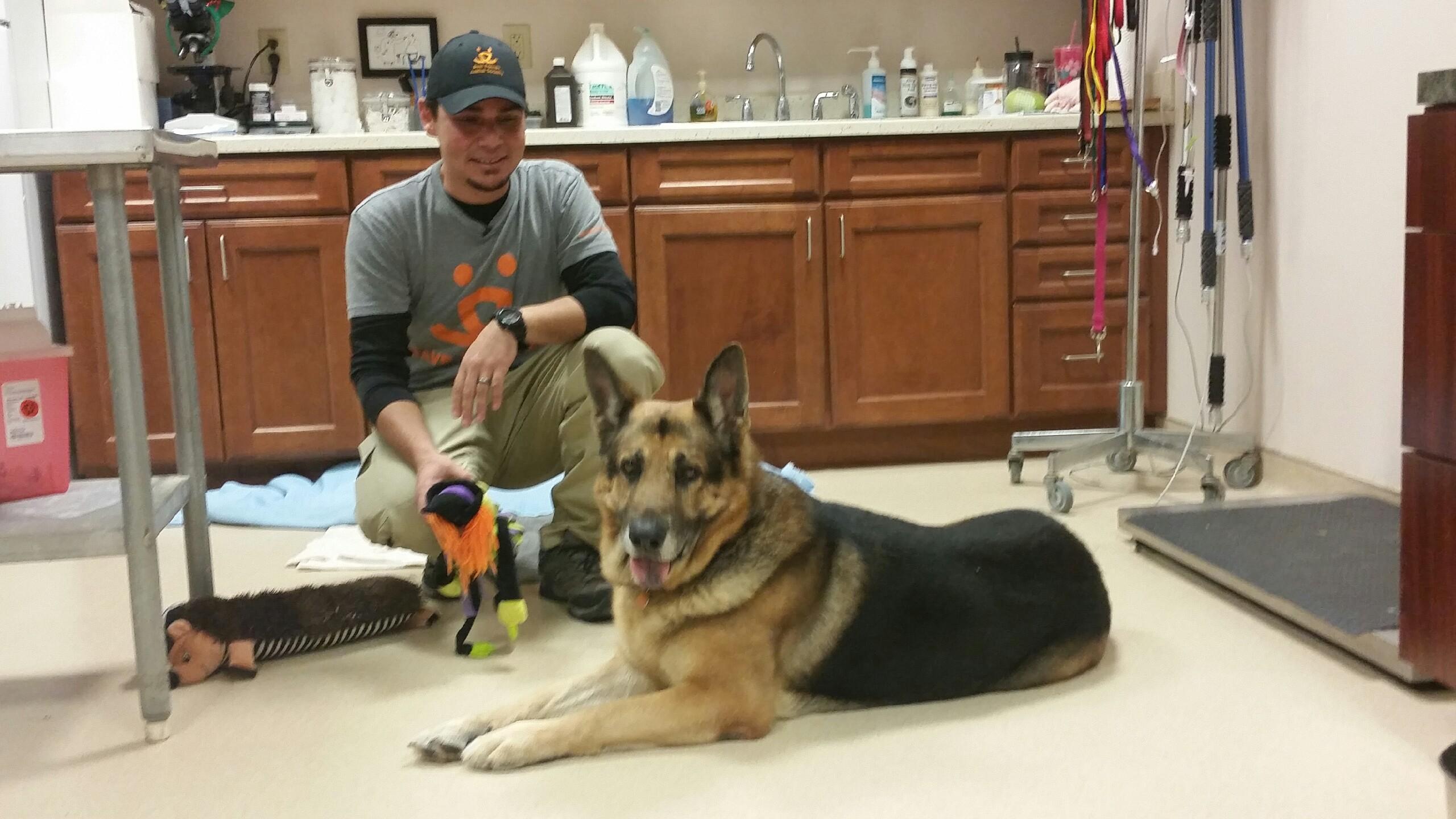 Best Friends Animal Society's John Garcia offers Bela the dog a toy