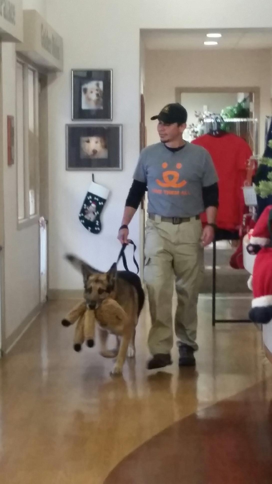 Bela the dog and  Best Friends Animal Society's John Garcia start trip to Bela's new home at Best Friends' sanctuary in Kanab, Utah.