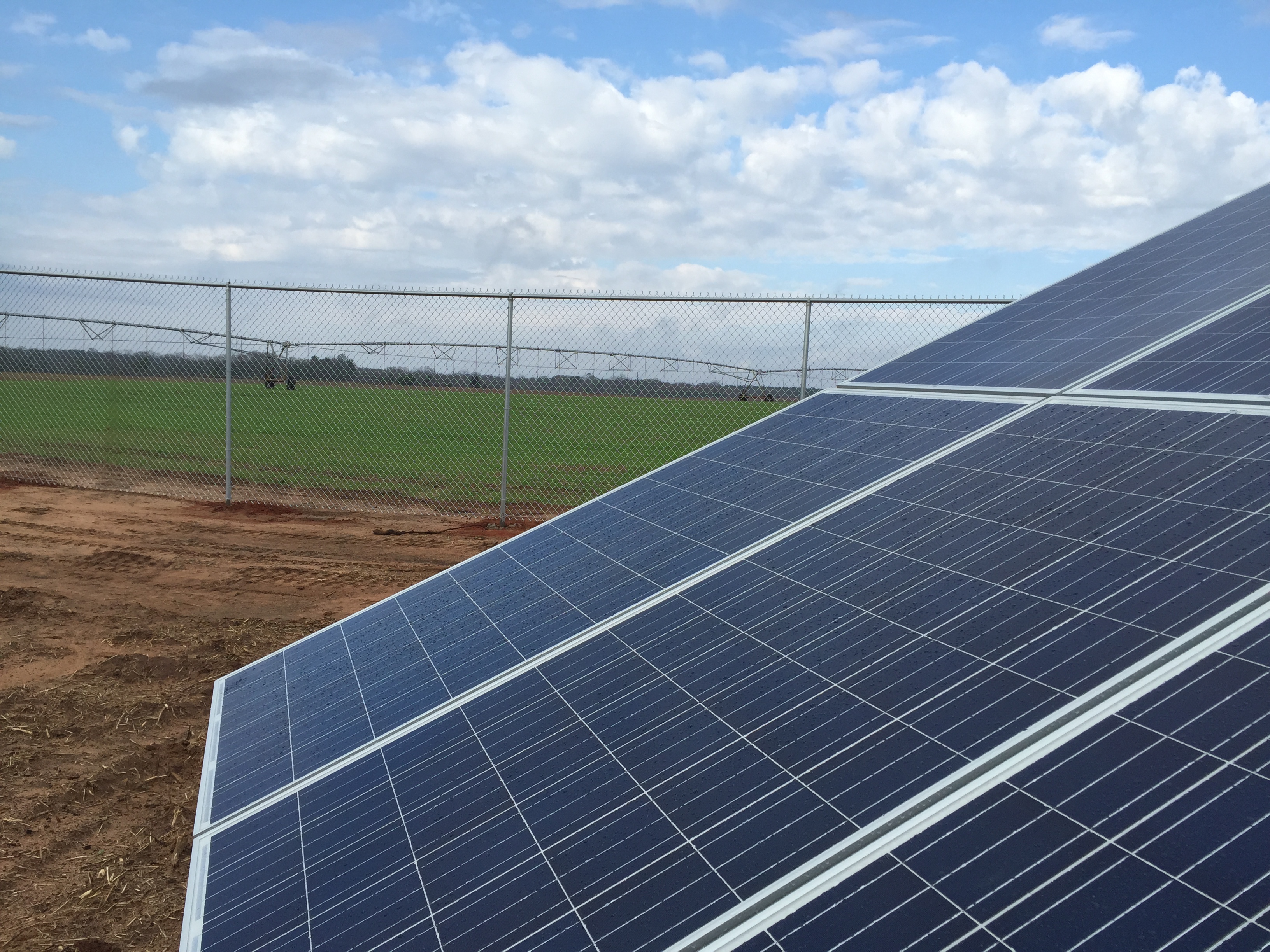 Close up of the photovoltaic cells at Super-Sod's turf farm, with turf production fields in the background.