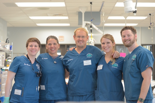 Veterinarians donate their dental expertise to animals at Best Friends Animal Society's sanctuary