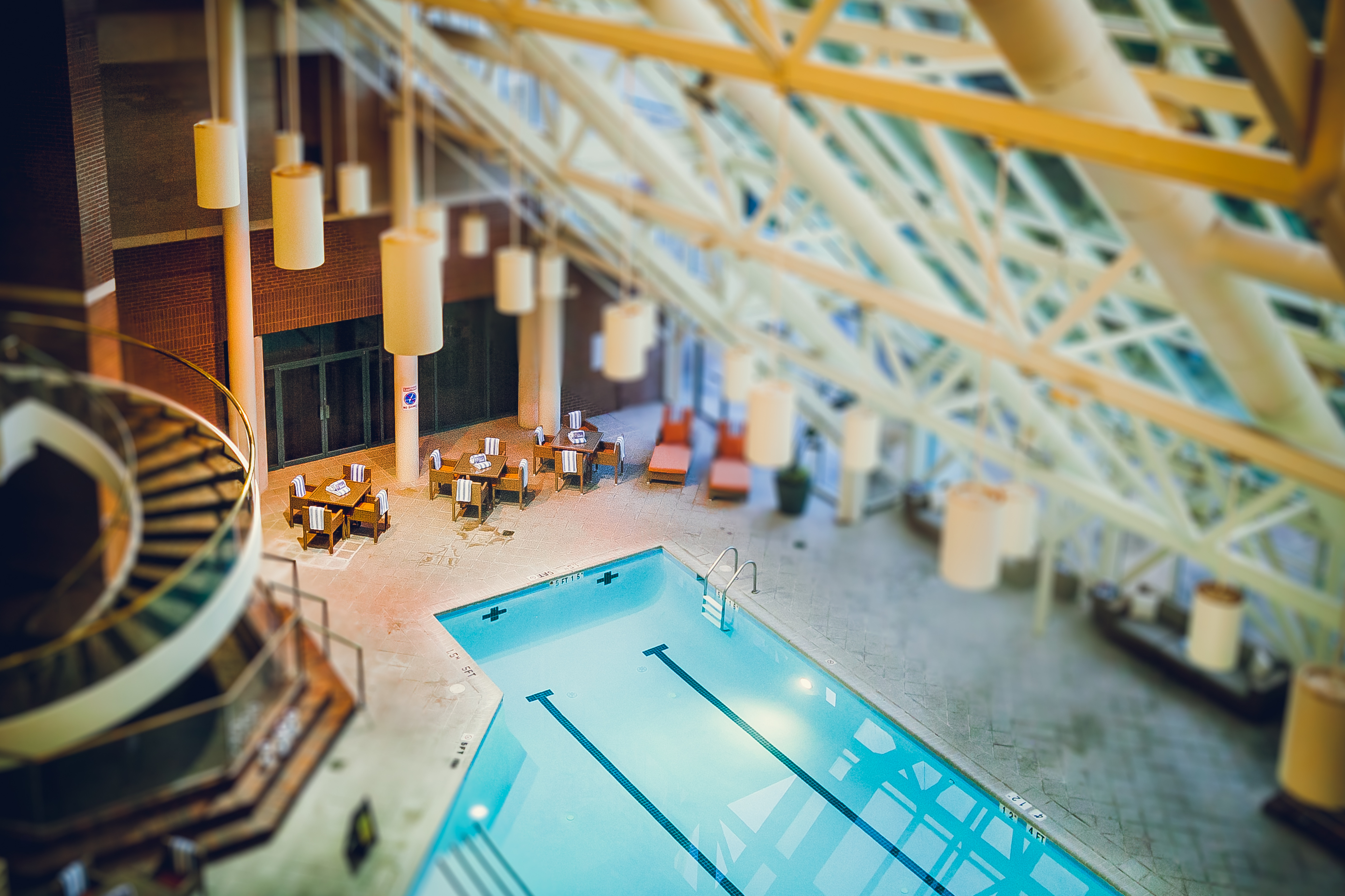 Sheraton Tysons Hotel - indoor pool