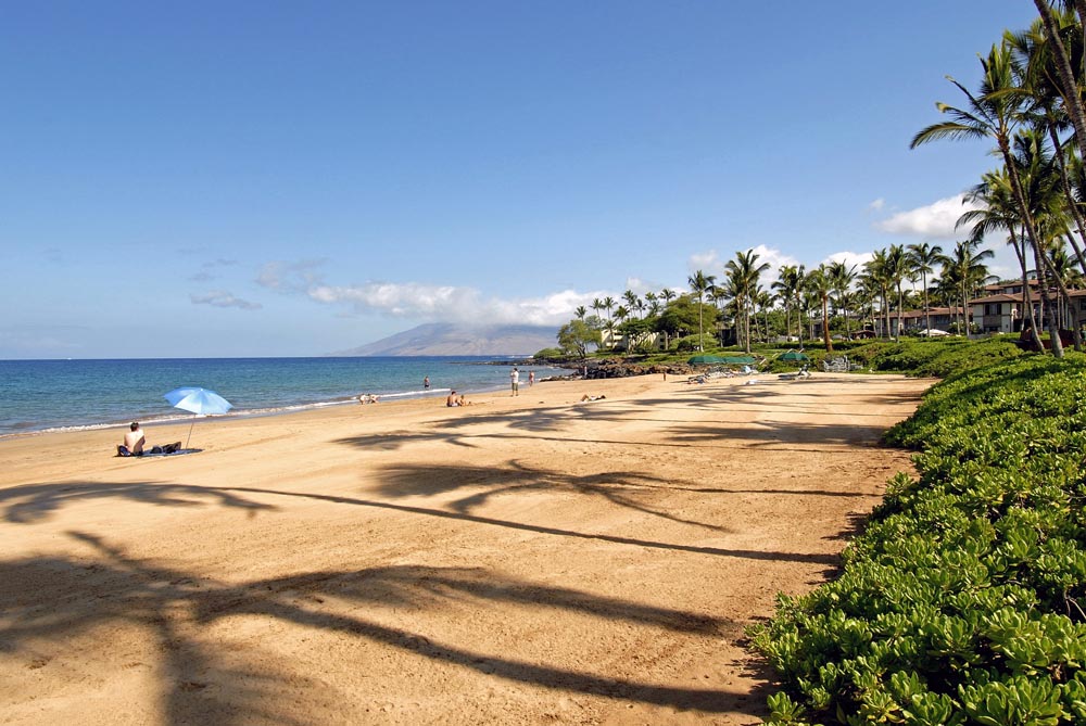 Maui Beaches at