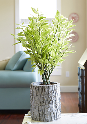 Bridge the gap between indoors and outdoors with a houseplant.