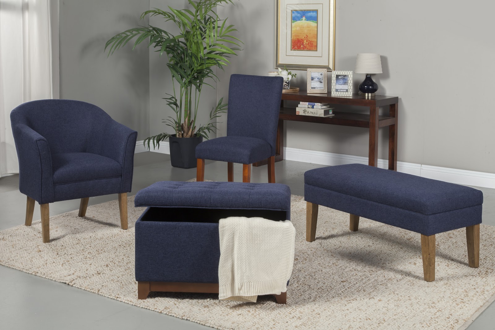 HomePop 2015 Navy Accent Set