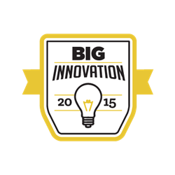 Business Intelligence Group's BIG Innovation Award logo