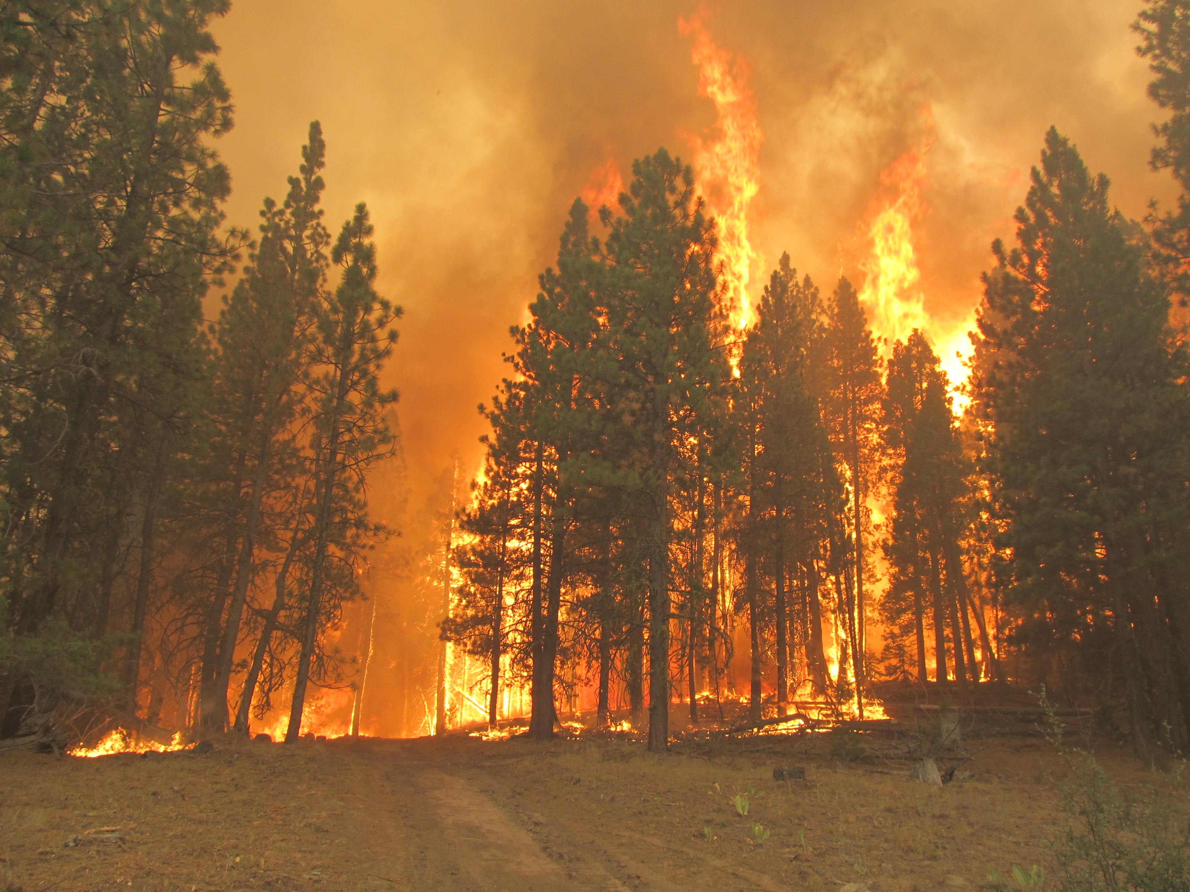 The Barry Point Wildfire ablaze in 2012. The burn scar (where most of the forest and plant cover has been lost) is almost 7 miles wide and 6 miles long.
