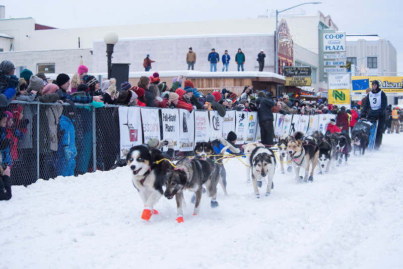 Yukon Quest International Sled Dog Race travels 1,000 miles to ...