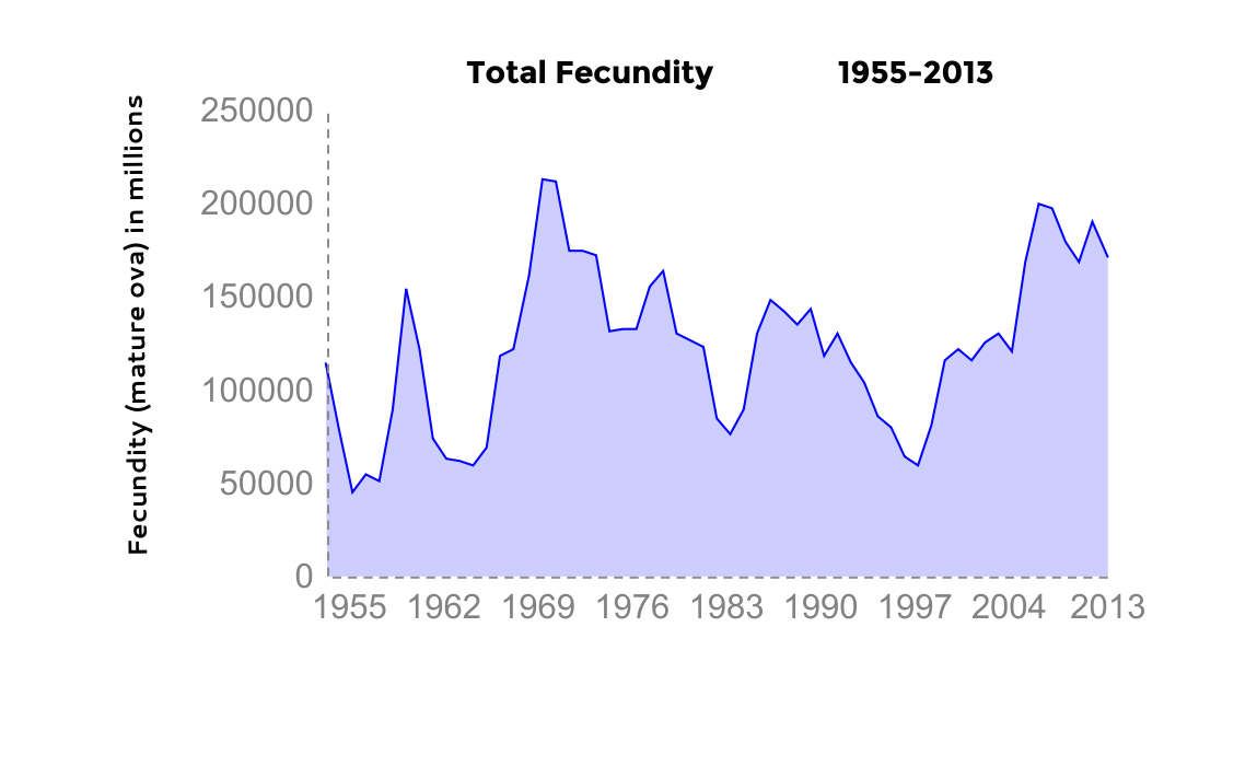 Graph: Current Atlantic menhaden fecundity levels are among the highest they have ever been, and the highest that the species has seen since the 1970s.
