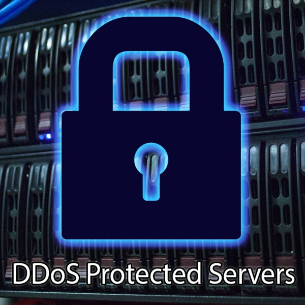 DDoS Protected Servers