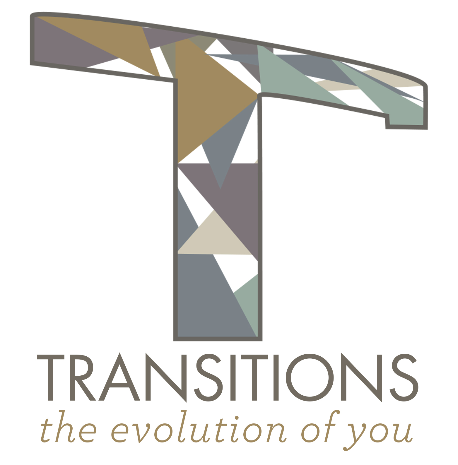 Transitions - Advancing College and Career Success