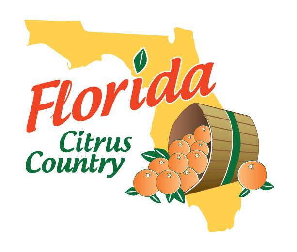 Florida Citrus Country Back in Clearwater Where Orange Blossom Groves ...