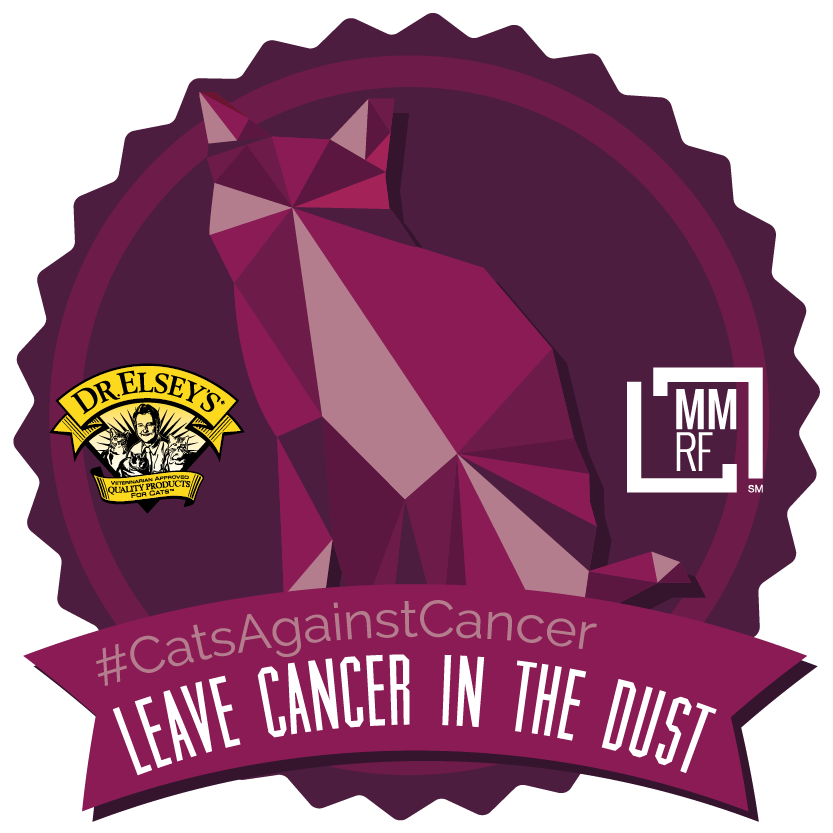Show Your Support to Leave Cancer in the Dust!