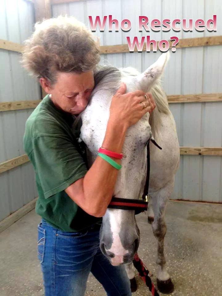 RVR Horse Rescue asks, 'Who Rescued Whom?'