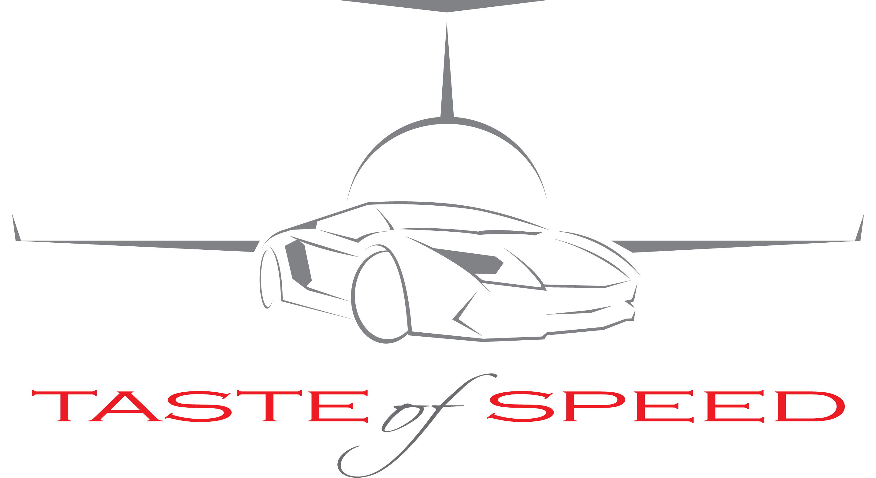 Taste of Speed Jet Port Experience