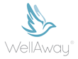 WellAway Ltd et la Caisse des Fran&#231;ais de l&#39;Etranger pr&#233;sentent leur nouveau programme de sant&#233; conforme &#224; l&#39;Obamacare aux Etats-Unis