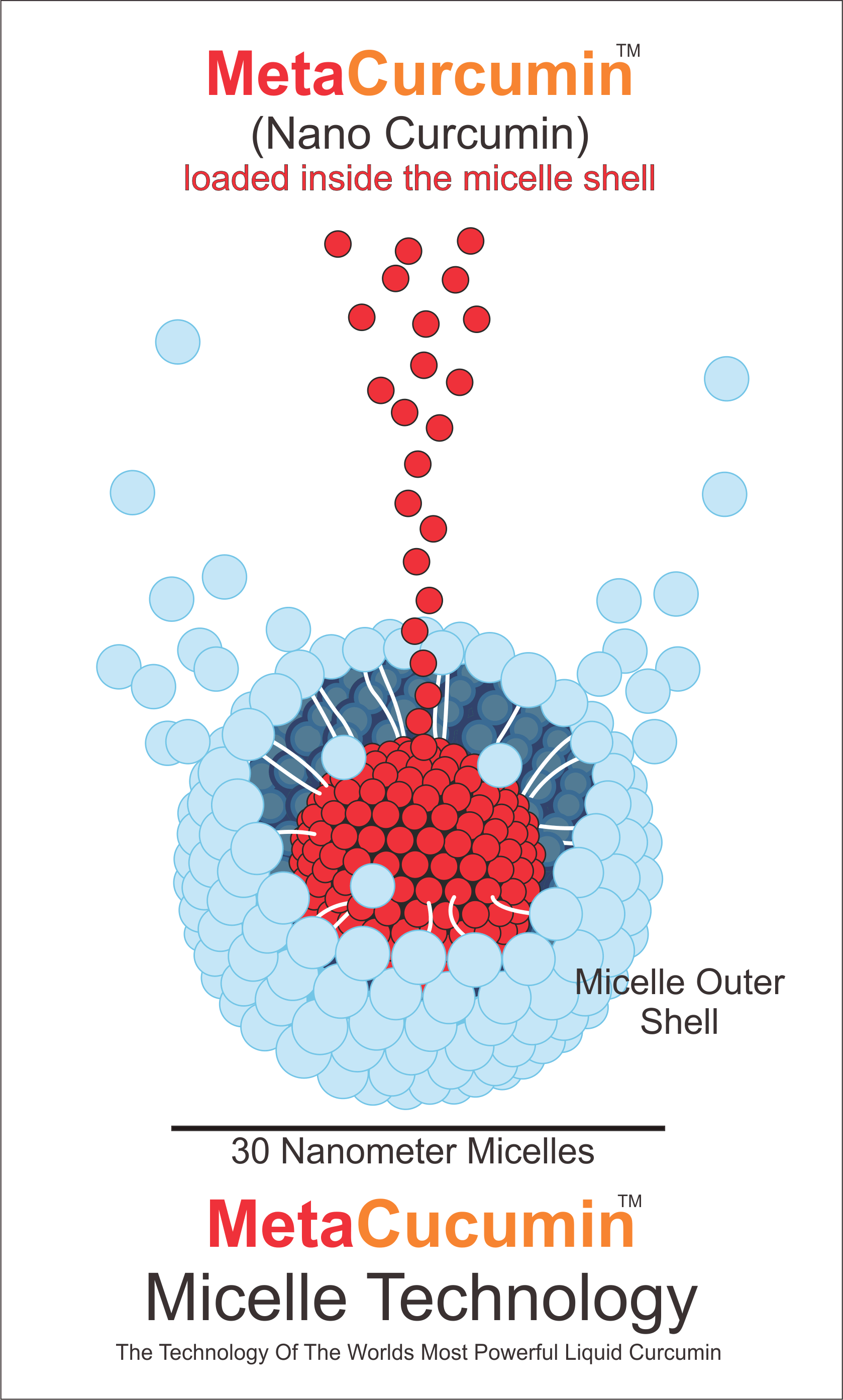 MetaCurcumin: Super Curcumin Micelle Technology