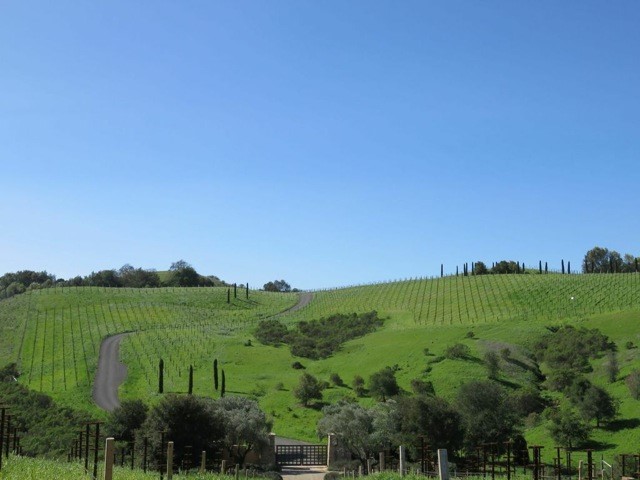 Pulido~Walker Estates on Napa Valley's Mount Veeder.