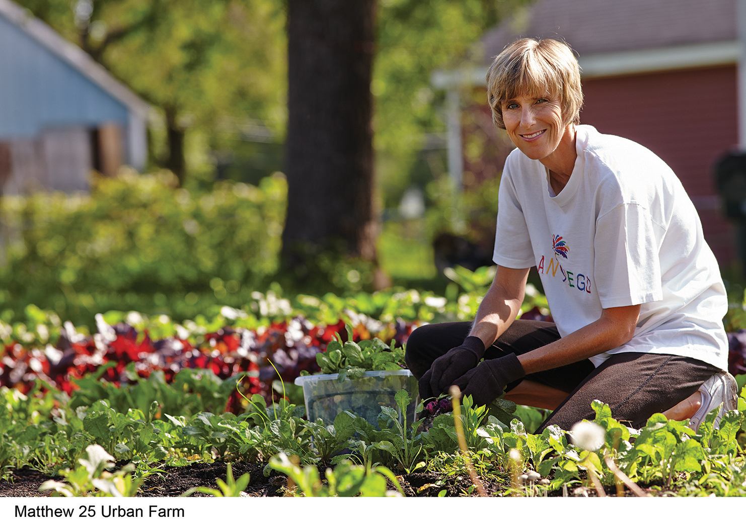 Urban Farm Gardening