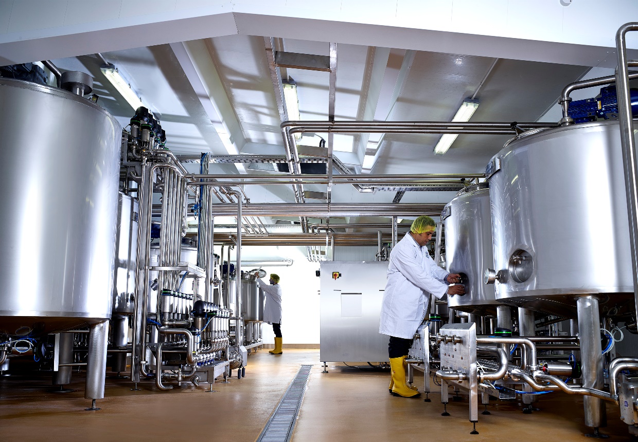 Continious dairy processing plant