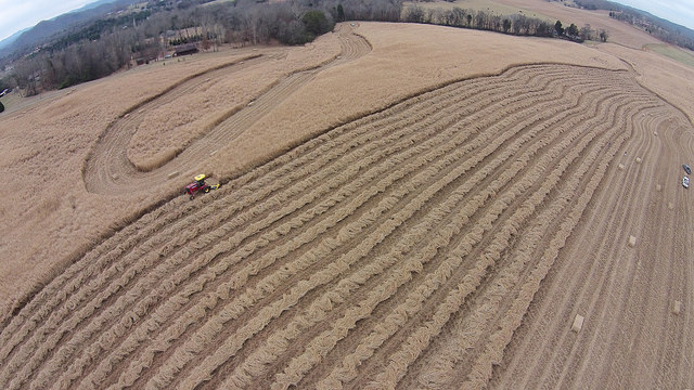Aerial shot of Genera's recent switchgrass harvest in process.