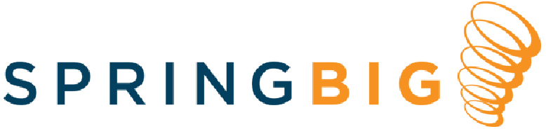 SpringBIG Logo