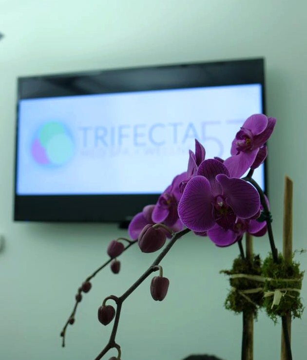 Trifecta Med Spa luxury experience