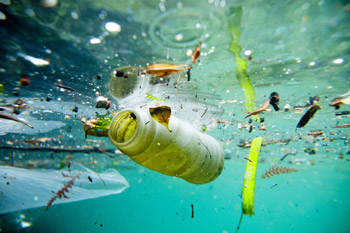 Plastic trash is polluting our oceans
