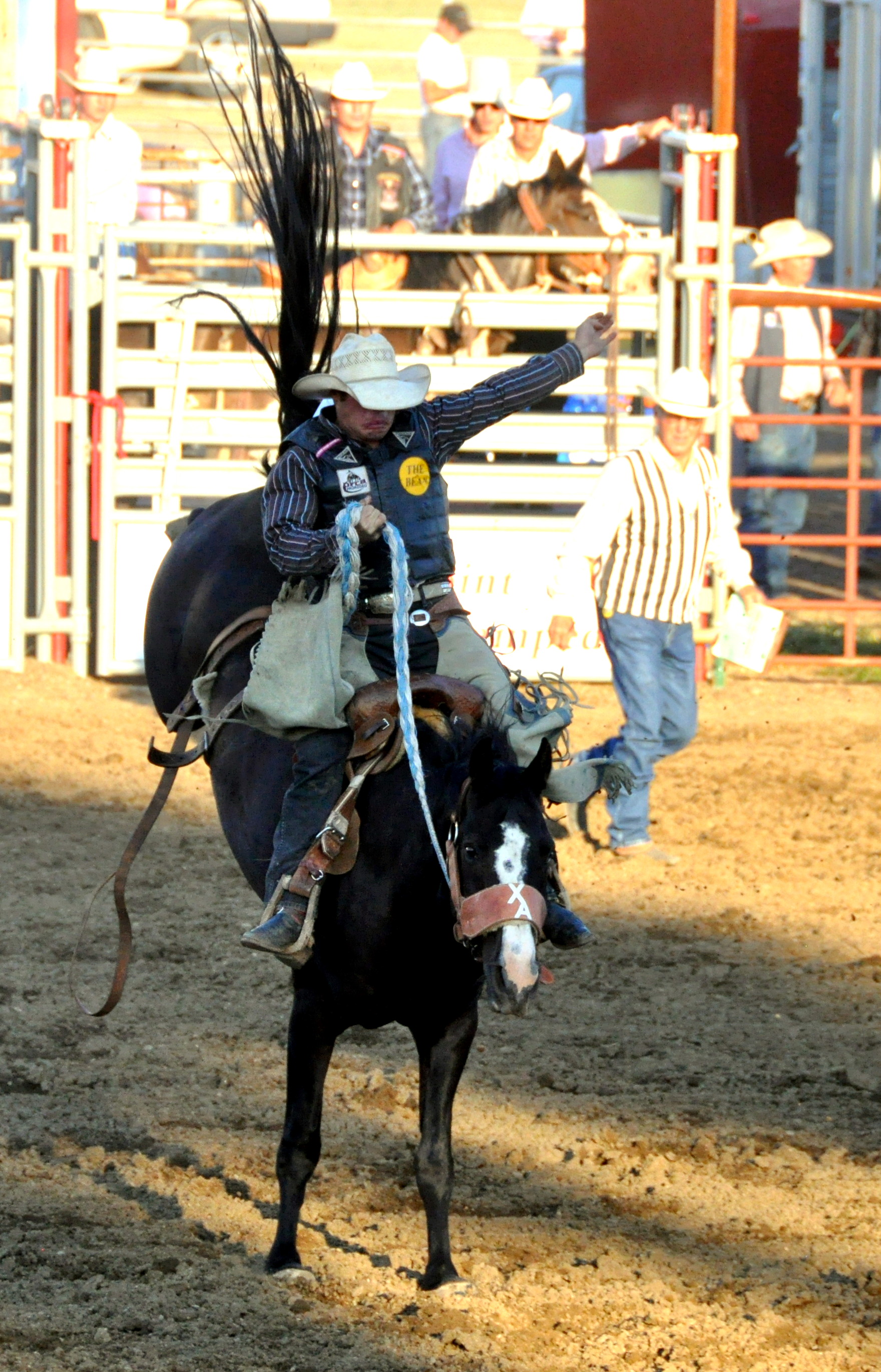 Bronc