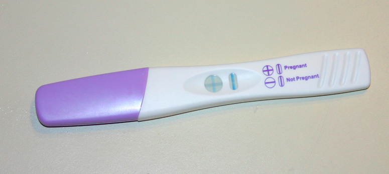 Joke Fake Positive Pregnancy Test Prank 