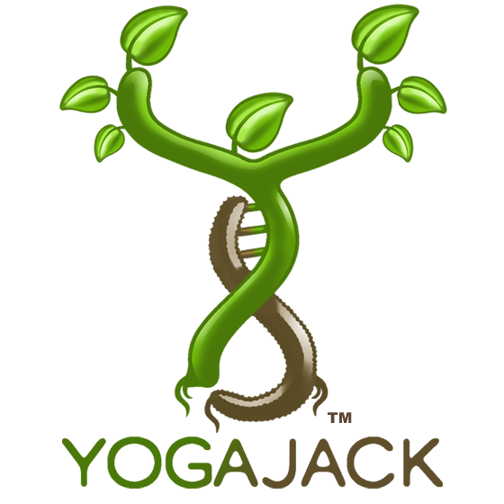 YogaJack, Online Yoga and Lifestyle Brand