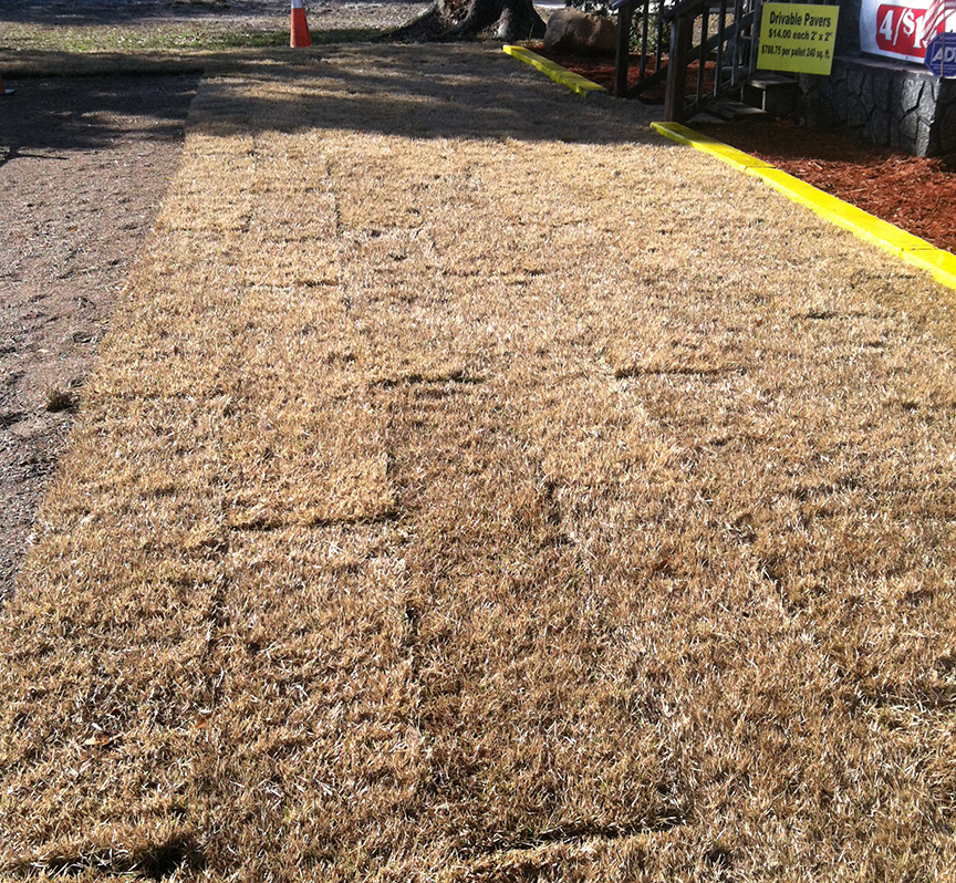 Drivable Grass installation at Super-Sod of Jacksonville, FL