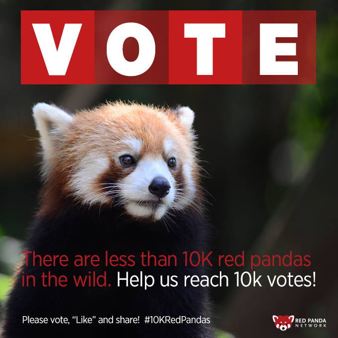 Vote for "Conserving Red Pandas, Nepal!"