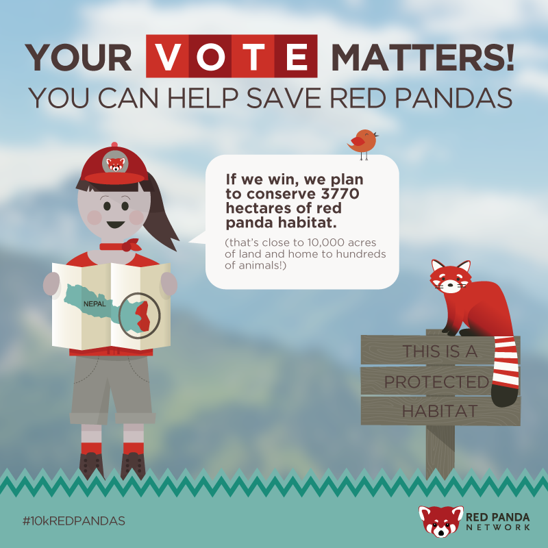 Why you should vote to save red panda habitat