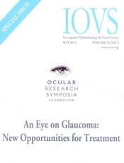 2011 ORSF Symposium Report on Glaucoma