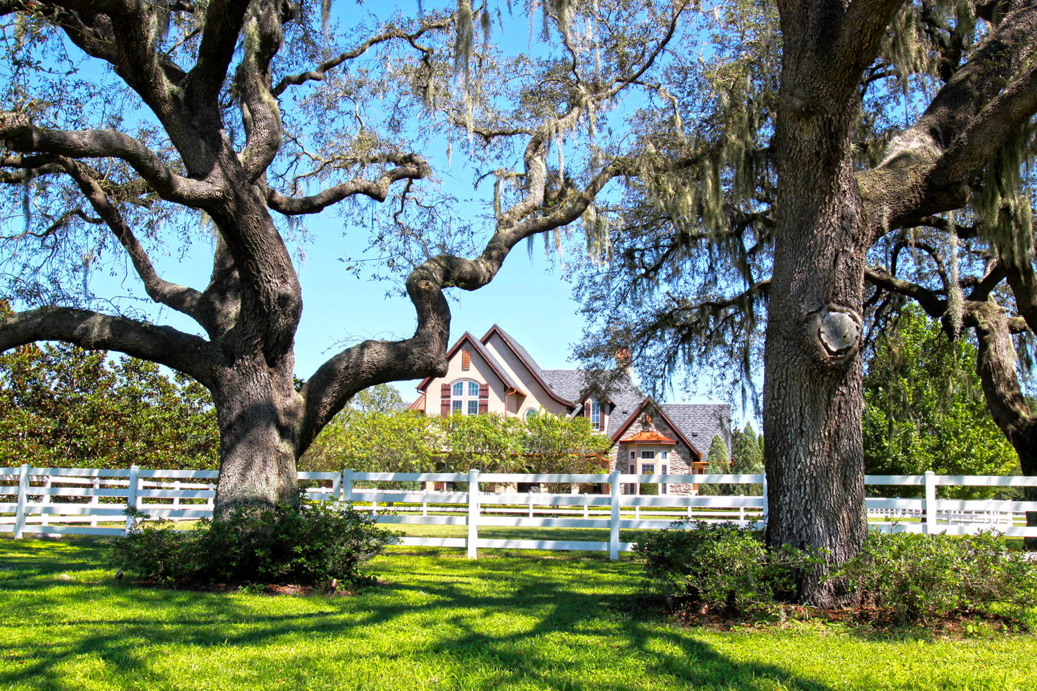 50 planted live oak trees, irrigated — surrounding perimeter of property