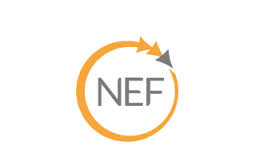 NEF Company Logo