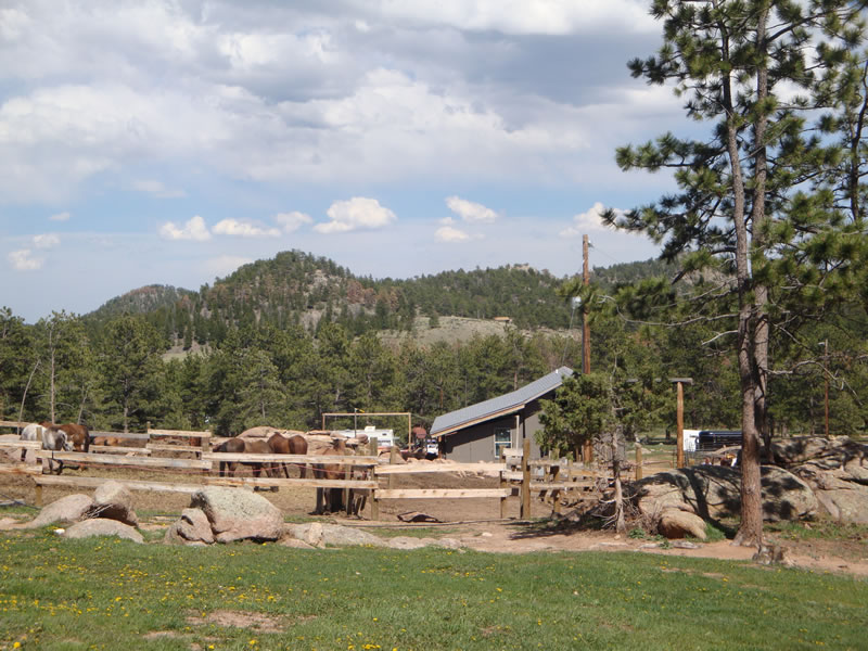 Sundance Trail Guest Ranch in Red Feather Lakes, CO, is a Colorado dude ranch offering the best family vacations with horseback riding and other fun things to do in Colorado.