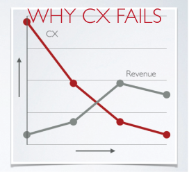 Common reality is that many companies fail when they attempt to address CX on their own; eventually revenue declines along with the customer experience.