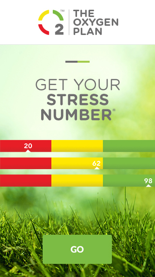 Get Your Stress Number