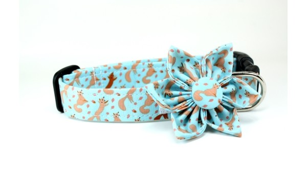 Organic Squirrels in Blue Dog Collar and Removable Collar Flower Set