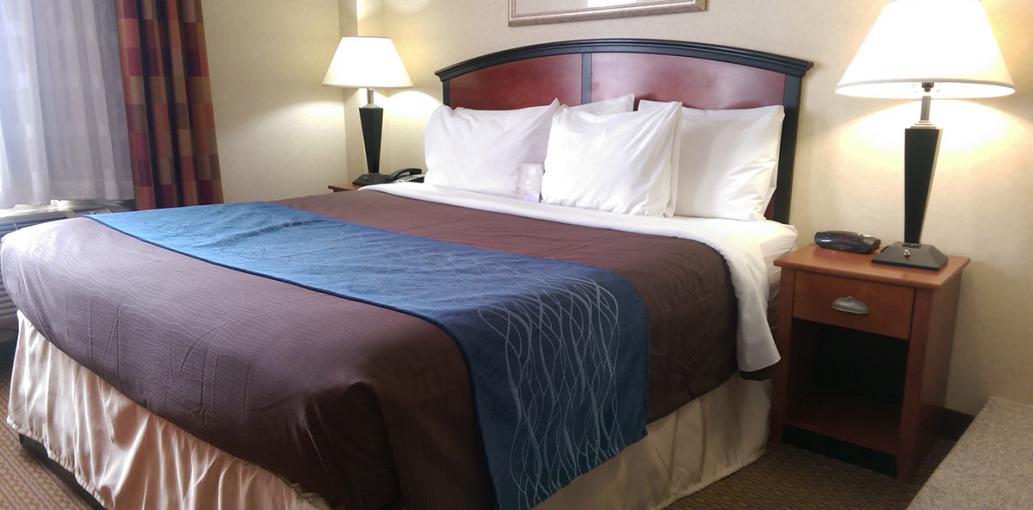 Comfort Inn Brooklyn - Downtown is a reasonably-priced Brooklyn Hotel that is located near dining, shopping, and attractions.