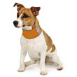 Insect Shield for Pets Neck Gaiter