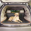 Insect Shield for Pets Cargo Cover