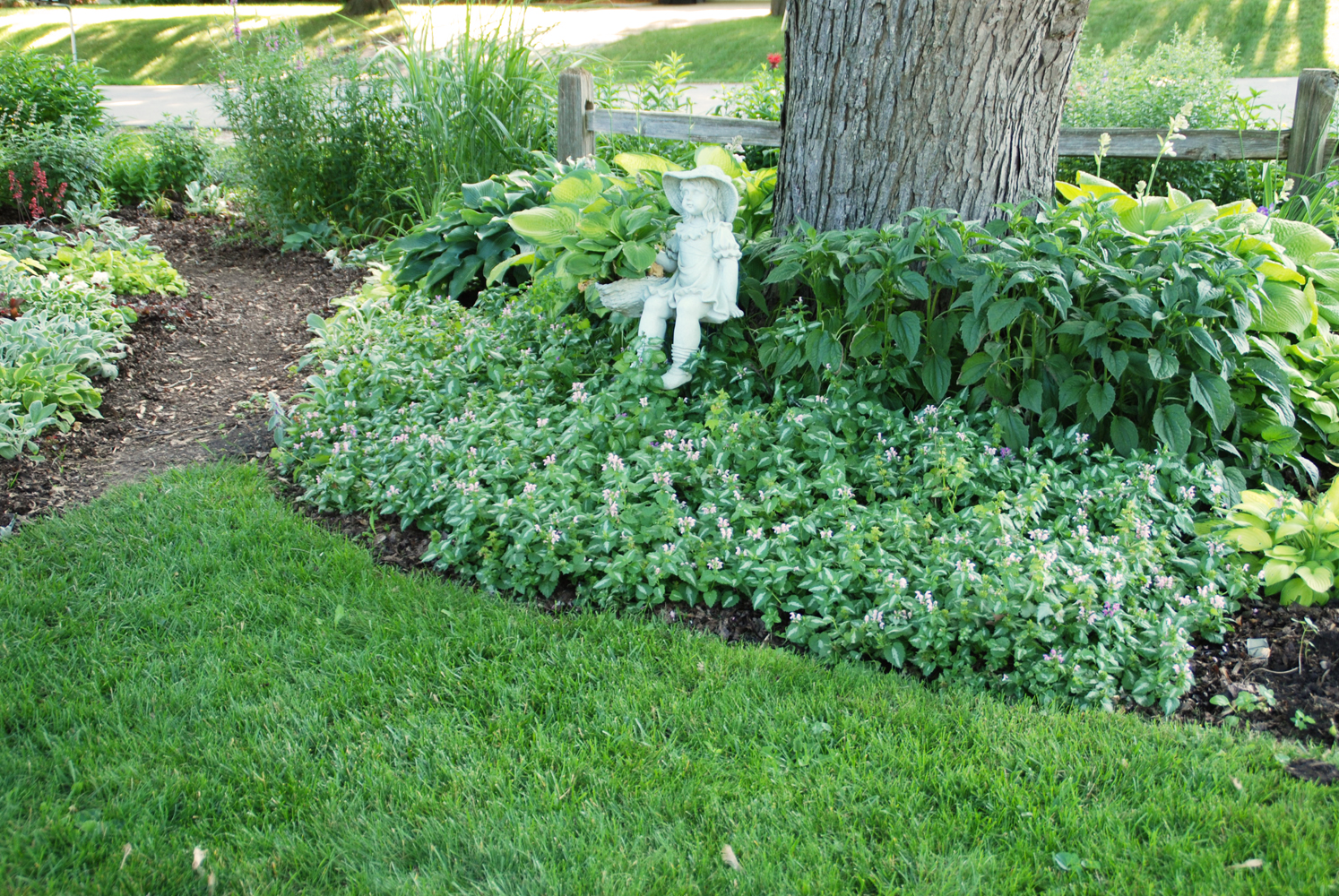 Plants can prevent run off in the landscape.