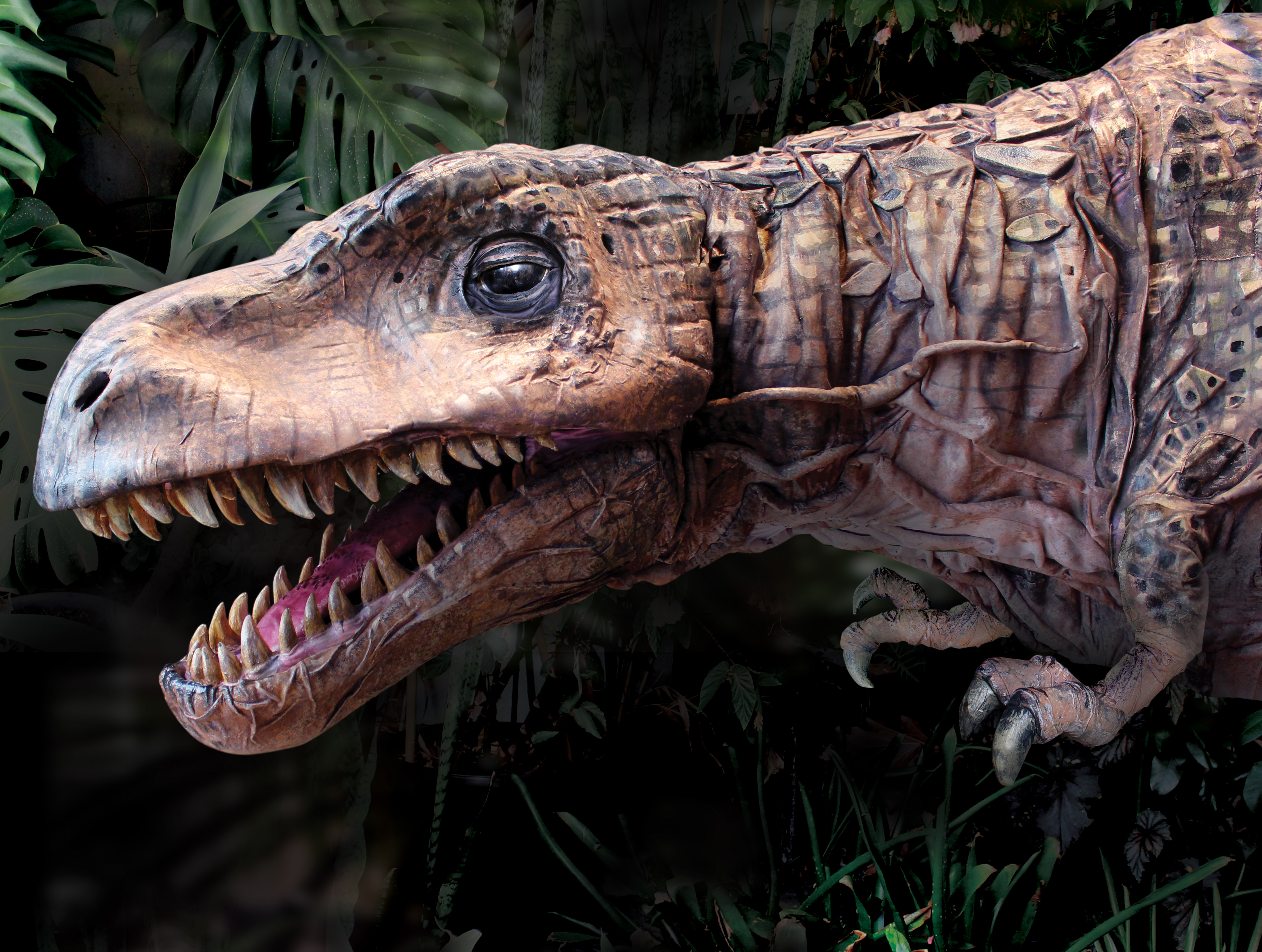 Prince - a baby animatronic T Rex at Field Station: Dinosaurs