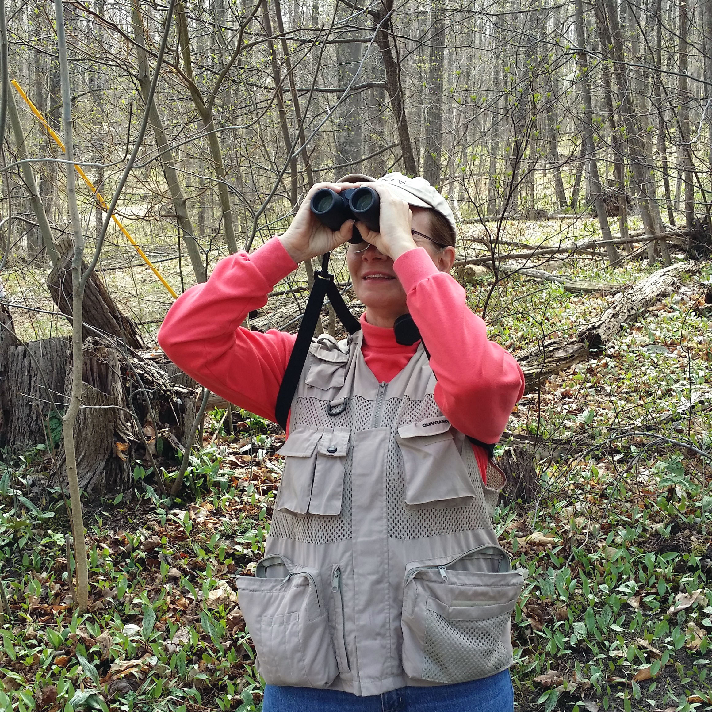 The Petoskey Regional Audubon Society will lead a bird walk through Elvyn Lea woods on June 7